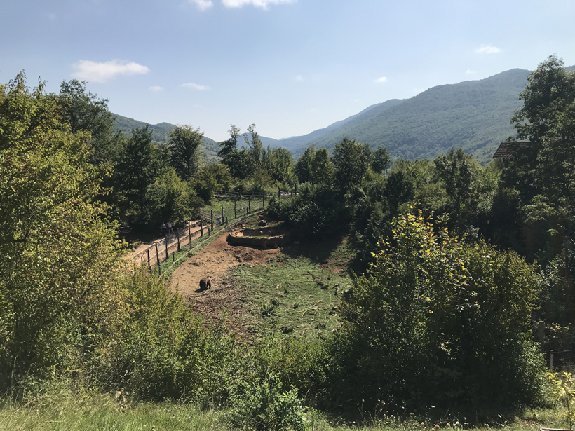 Berenopvangcentrum in groen binnenland in Kuterevo