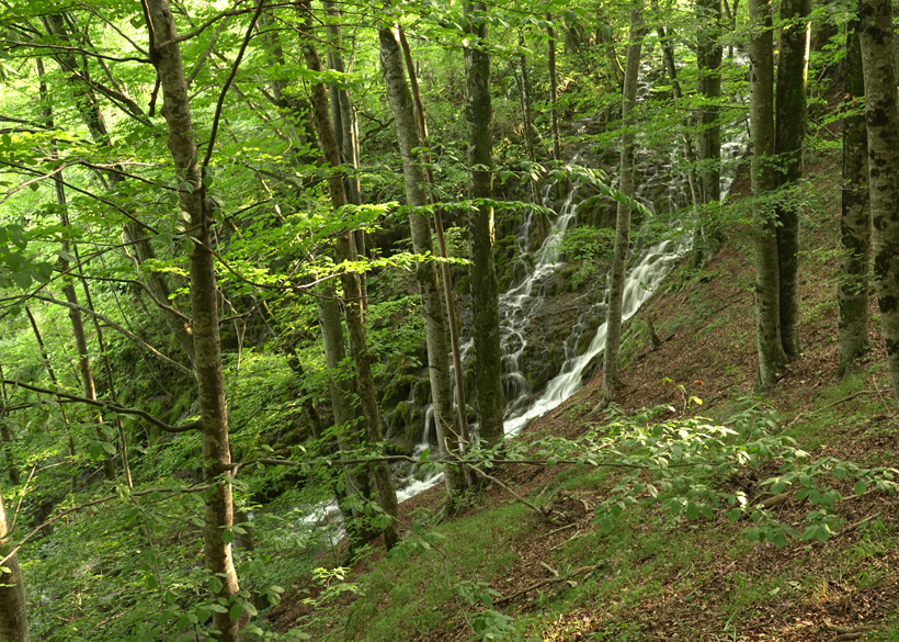 waterval onder de bomen in Plitvice