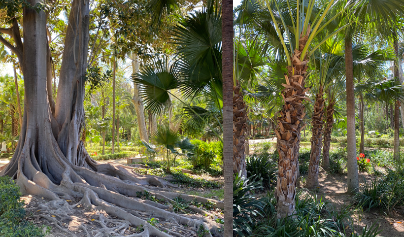 maria luisa park in sevilla