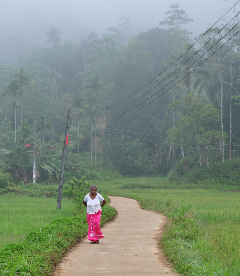 Sri Lanka oude dame bij Sinharaja