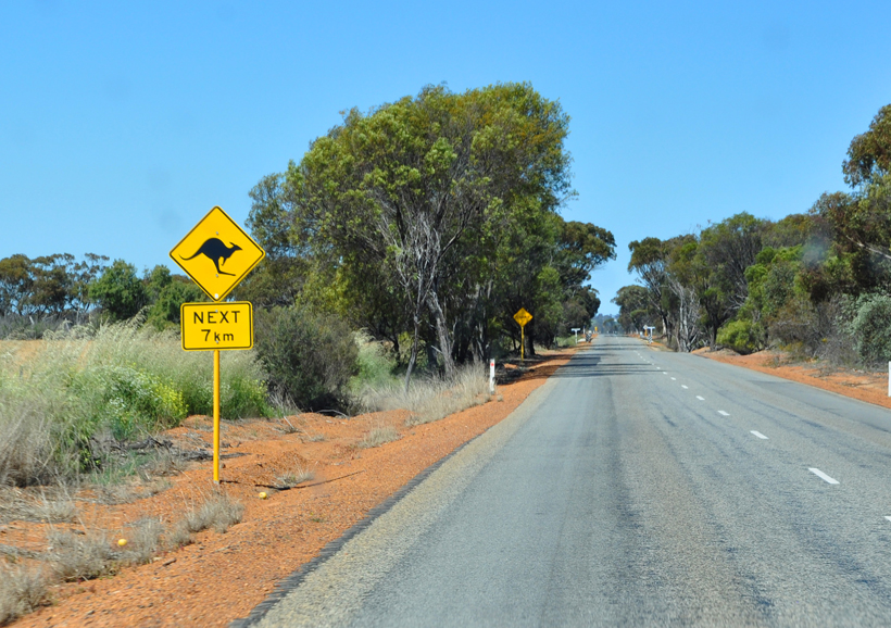 rijden door graanschuur in western australia