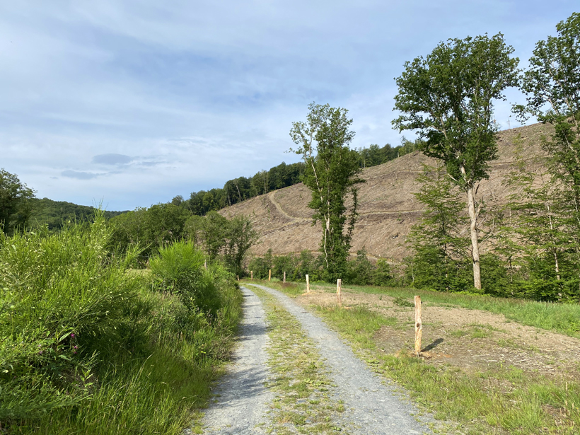 wandelen in Herbeumont lus vanaf kasteel