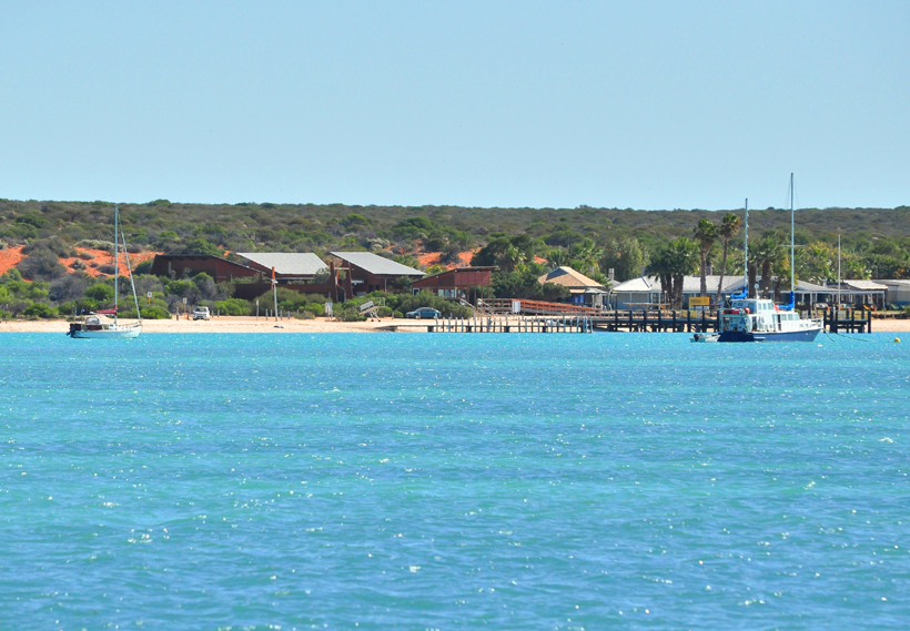 vertrek catamaran monkey mia