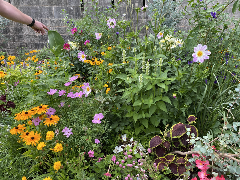 bloemen bij stadsmuur toul