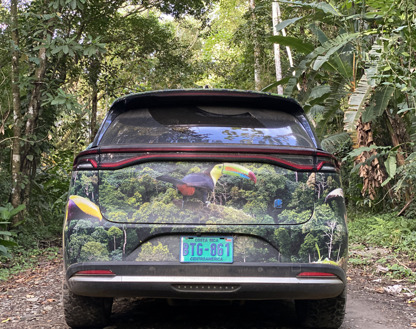 de green circle experience in Costa Rica