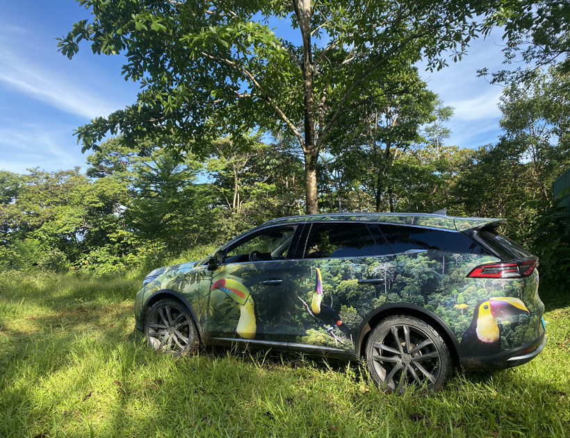 elektrische wagen Green Circle Experience in Ojochal
