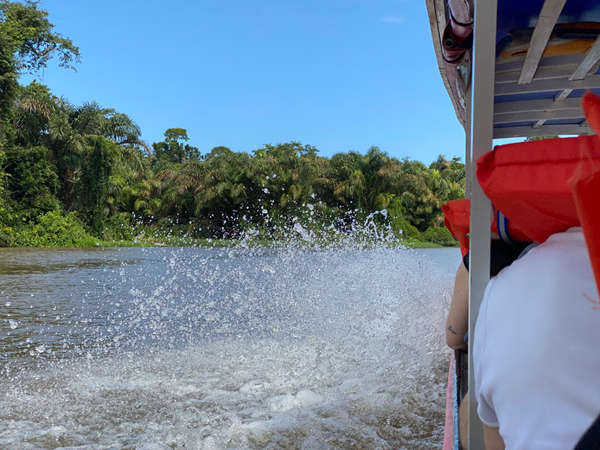 watertaxi tortuguero