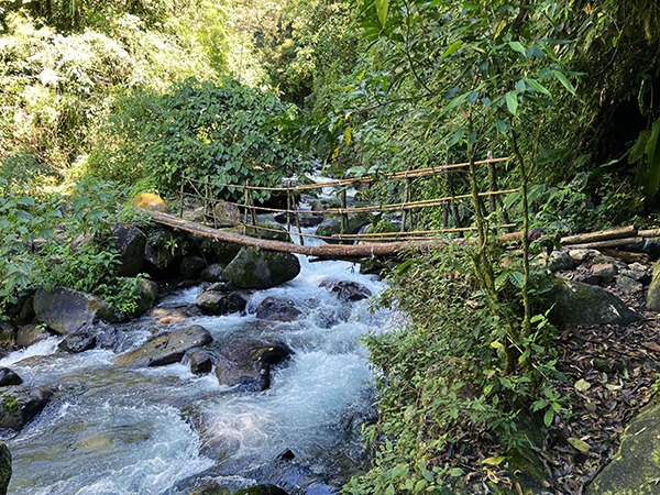 bamboo brugje sendero victor