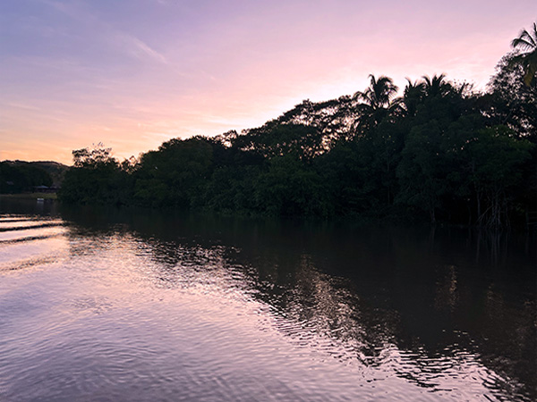 ochtend boat tour palo verde