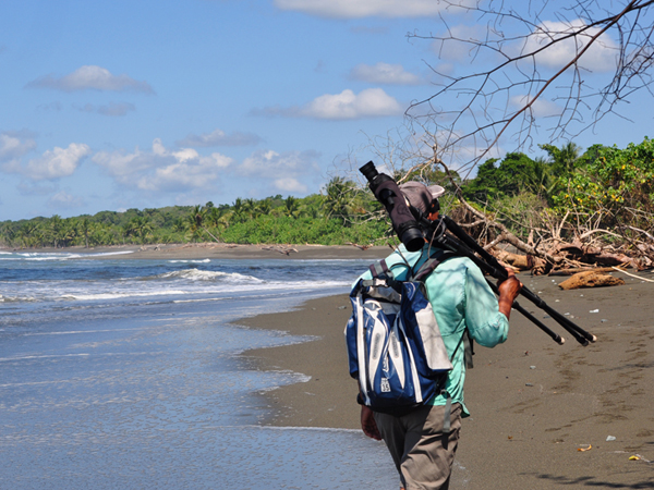 gids in corcovado
