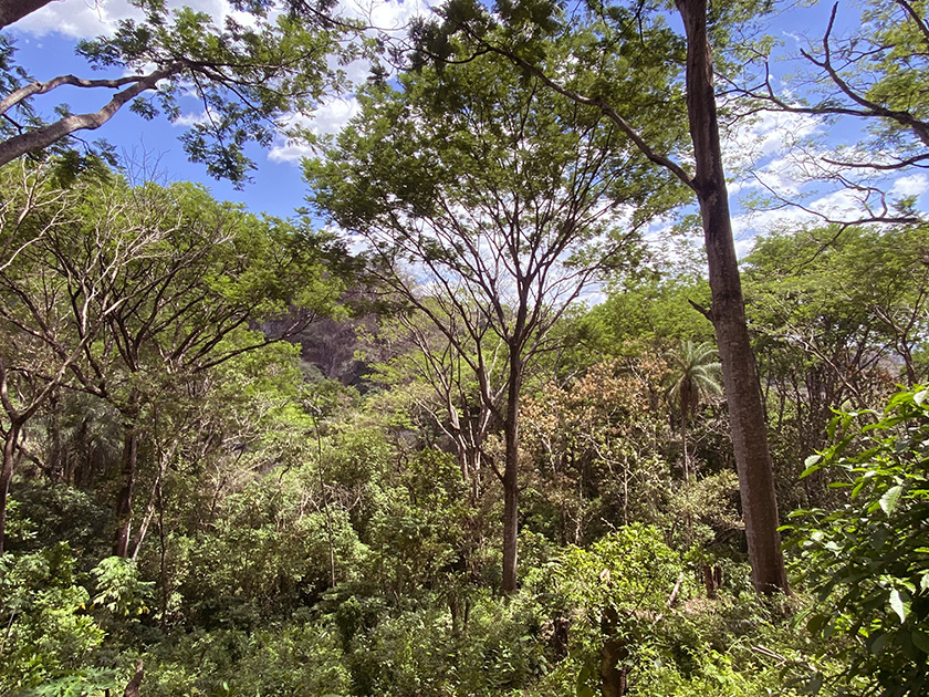 groene omgeving wandeling atenas