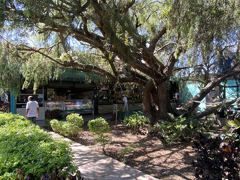 marktje bij busstation atenas