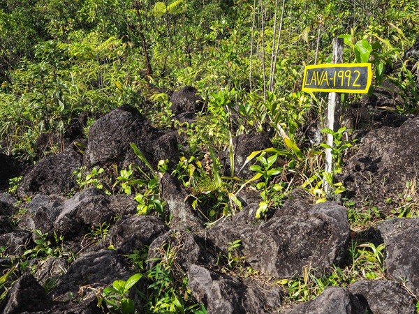 lava veld arenal