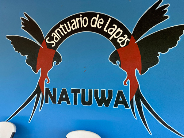 toevluchtsoord voor aras in costa rica