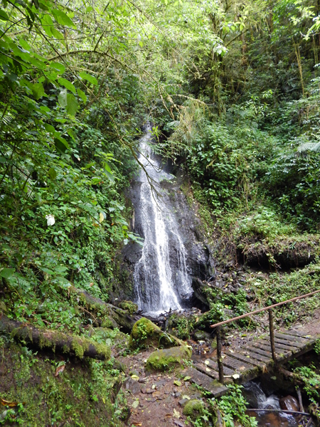 wandeling quetzal lodge