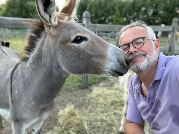 contact met de dieren op de Alffarhoeve