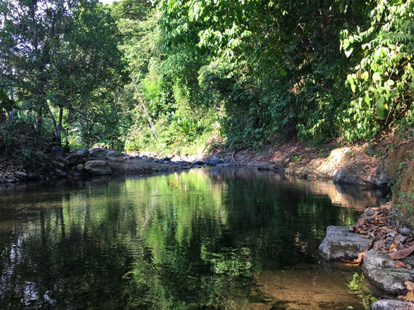 groene reflectie in junglerivier tres rios