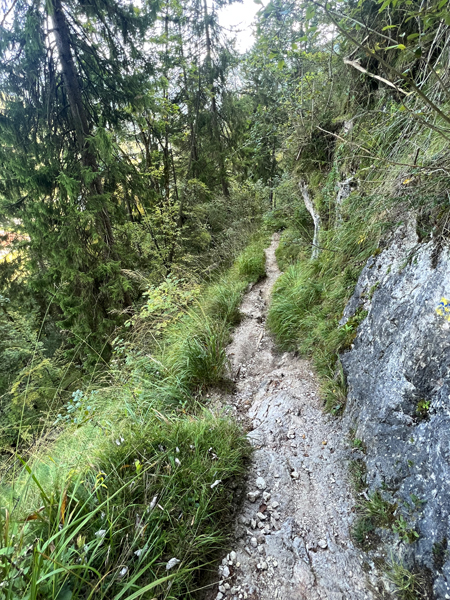 wandelpad Holzweg Almbachklamm