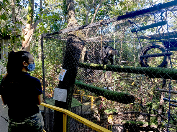 kapucijnaapjes bij refugio animal costa rica