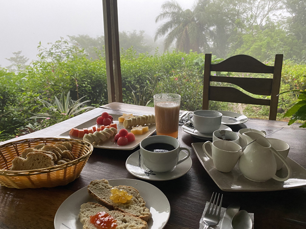 ontbijt in Tierra madre costa rica