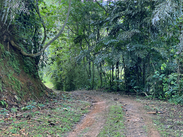 zandweg naar waterval san gabriel