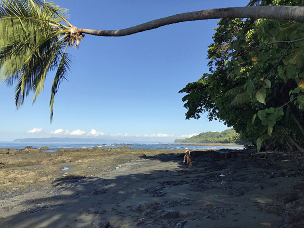 schaduw strand punta banco