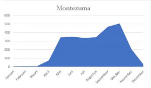 jaargrafiek regenval montezuma