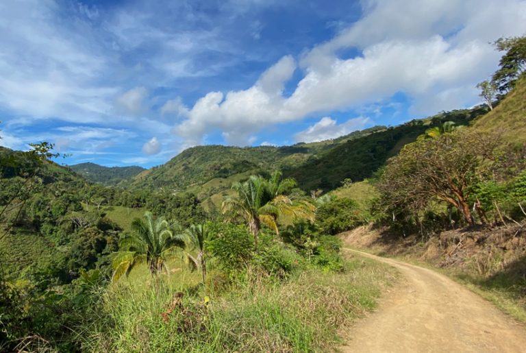 In de wolken in La Trinidad in de groene heuvels boven Ojochal