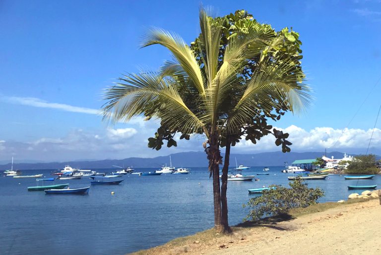 Van Puerto Jiménez aan de Golfo Dulce tot Cabo Matapalo