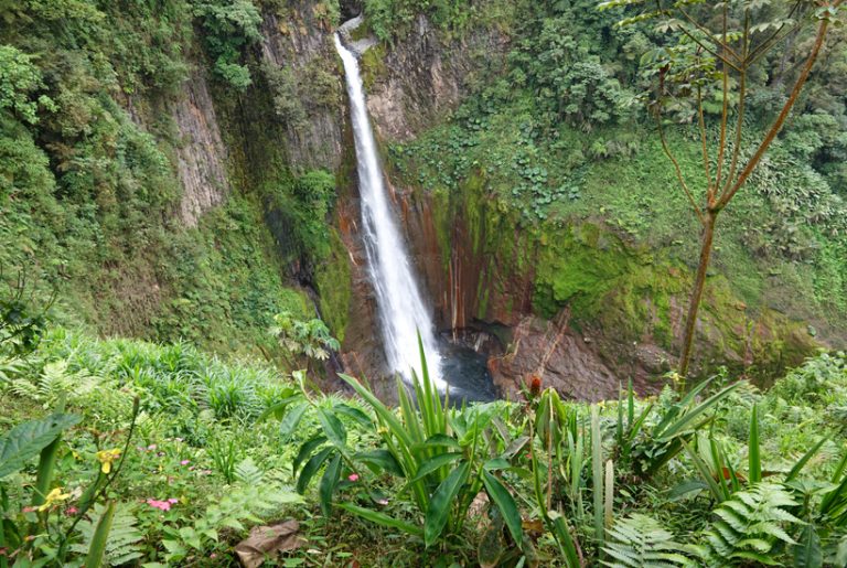 catarata bajos del torro omslag