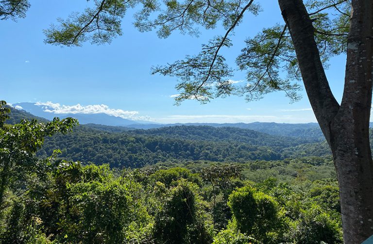 De scenic route via La Cangreja Nationaal Park